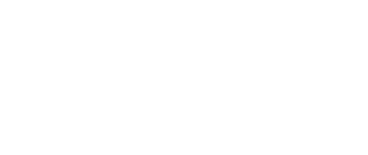 Veiser